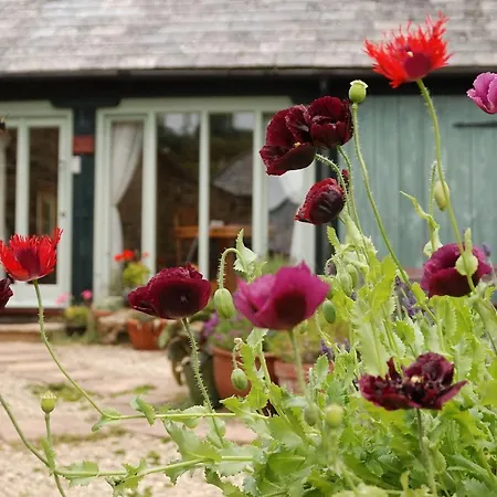 Holiday home Bowgie At Trewerry - Away From It All, Close To Everywhere Newquay (Cornwall)